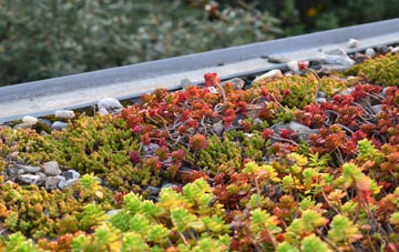 the cost of Port Ann green roof installation