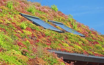 Port Ann living roof systems